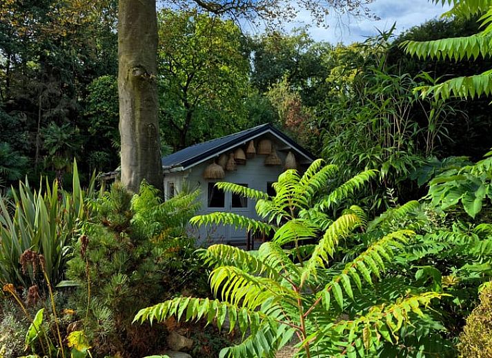 Kampvuurplek bij Huisje in Woudenberg, vakantiehuis op de Utrechtse Heuvelrug.
