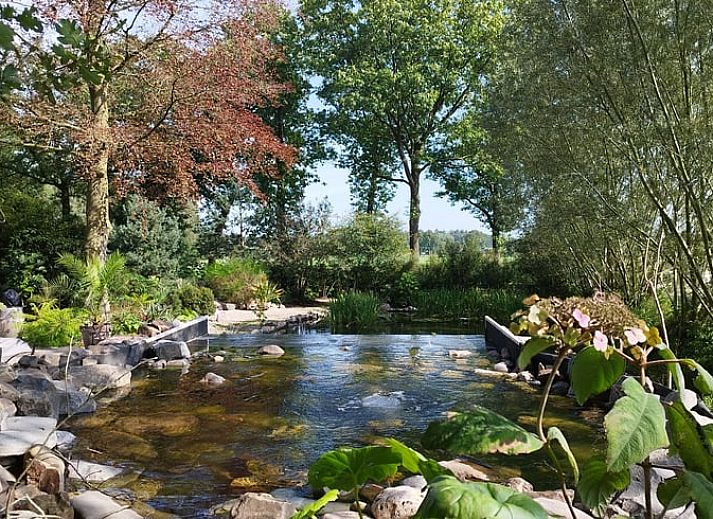 Veranda met comfortabele zitplaatsen bij Huisje in Woudenberg, Utrechtse Heuvelrug.