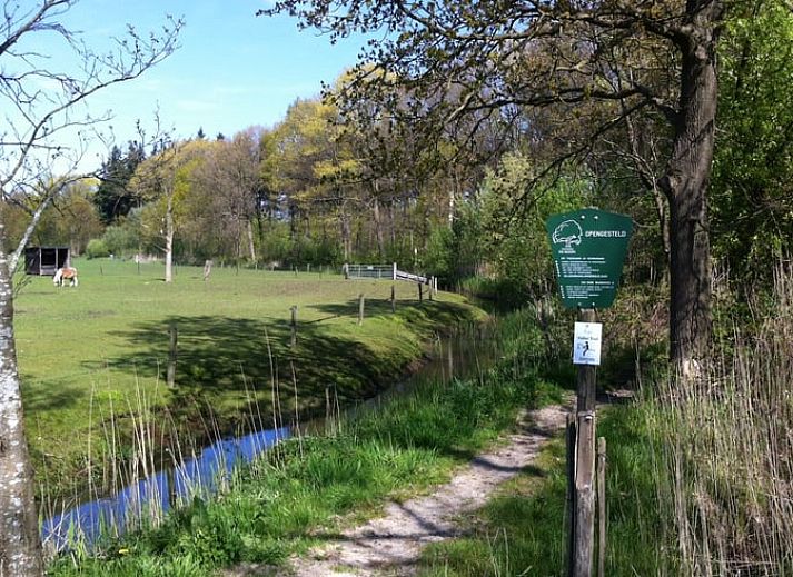 Huisje in Woudenberg, vakantiehuis met groene tuin op de Utrechtse Heuvelrug, Utrecht.