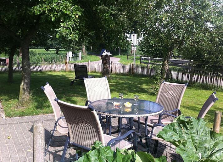 Huisje in Woudenberg, vakantiehuis met groene tuin op de Utrechtse Heuvelrug, Utrecht.