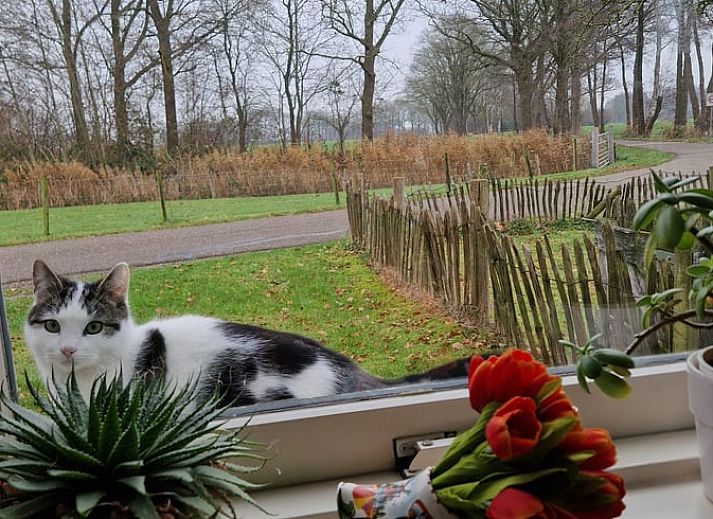 Luchtfoto van de woonkamer in Huisje in Woudenberg, vakantiehuis in Utrechtse Heuvelrug, Utrecht.