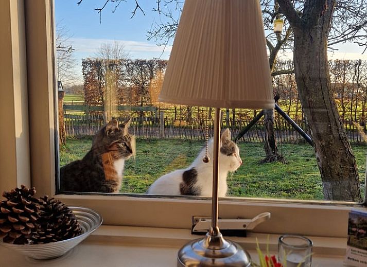 Luchtfoto van de woonkamer in Huisje in Woudenberg, vakantiehuis in Utrechtse Heuvelrug, Utrecht.