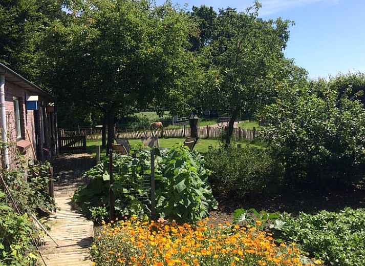 Luchtfoto van de woonkamer in Huisje in Woudenberg, vakantiehuis in Utrechtse Heuvelrug, Utrecht.