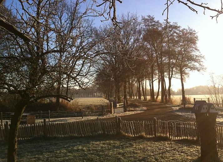 Knusse zithoek en keuken in Huisje in Woudenberg, vakantieverblijf op de Utrechtse Heuvelrug, Utrecht.