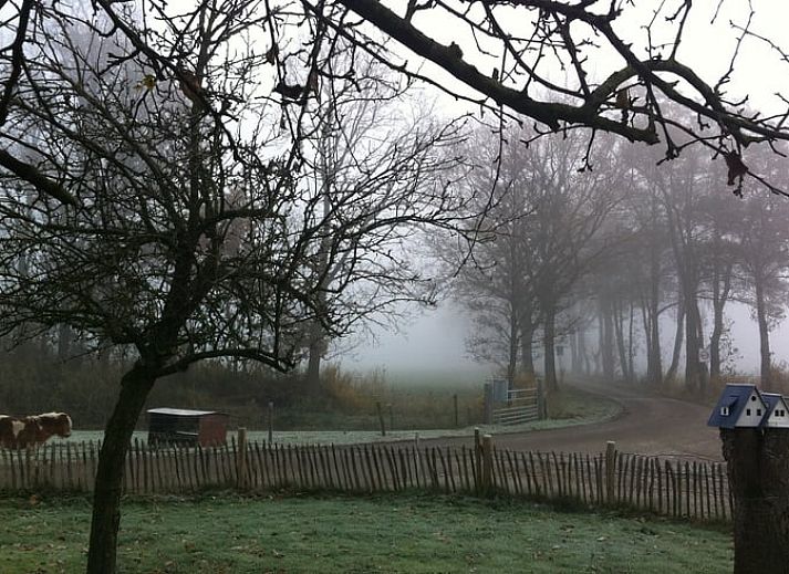 Knusse zithoek en keuken in Huisje in Woudenberg, vakantieverblijf op de Utrechtse Heuvelrug, Utrecht.