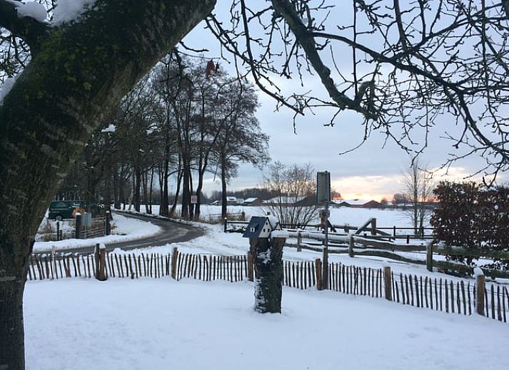 Knusse zithoek en keuken in Huisje in Woudenberg, vakantieverblijf op de Utrechtse Heuvelrug, Utrecht.
