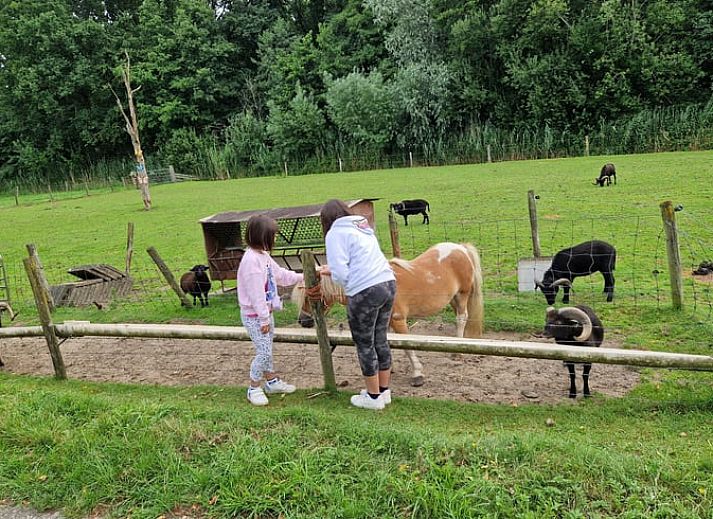 Moderne badkamer in Huisje in Woudenberg, vakantieaccommodatie op de Utrechtse Heuvelrug, Utrecht.