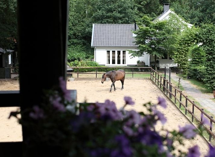 Guest house 571412 - Holiday property Utrechtse Heuvelrug - Huisje in Woudenberg