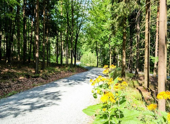 Unterkunft 571609 - Appartement Utrechtse Heuvelrug - Vakantiepark de Tabaksschuur 4