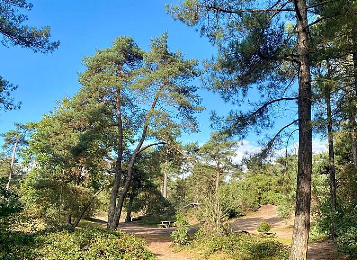 Keuken in Huisje in Maarn, vakantieaccommodatie op de Utrechtse Heuvelrug.