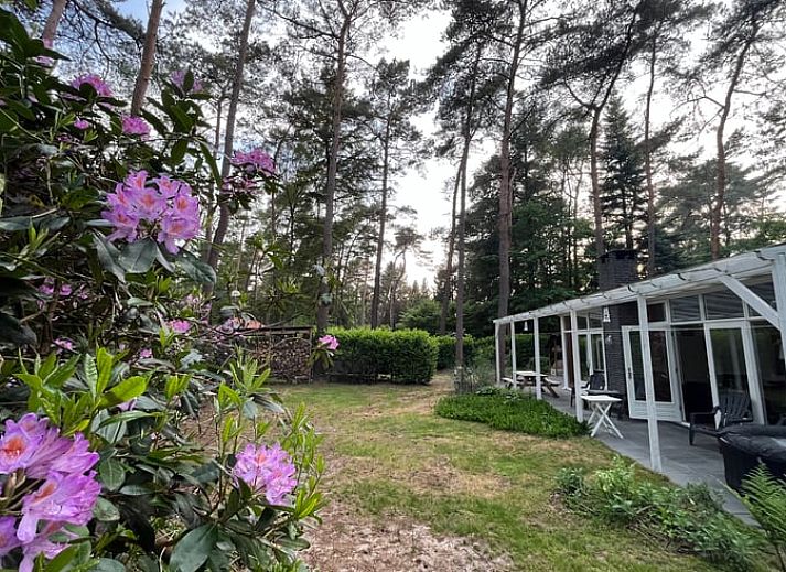 Guest house 571812 • Holiday property Utrechtse Heuvelrug • Vakantiehuis in Maarn 