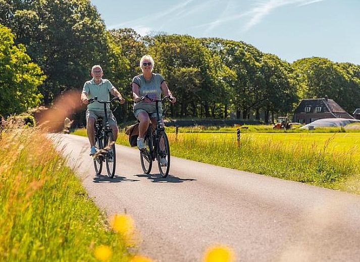 Unterkunft 5718124 - Ferienhaus Utrechtse Heuvelrug - Berkel 4 no.184 Laan van Laag Kanje 1 Maarn