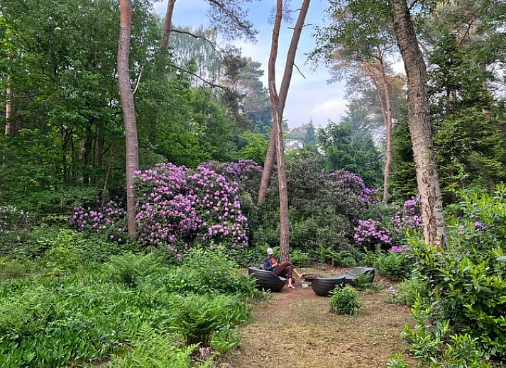 Unterkunft 571812 - Ferienhaus Utrechtse Heuvelrug - Vakantiehuis in Maarn