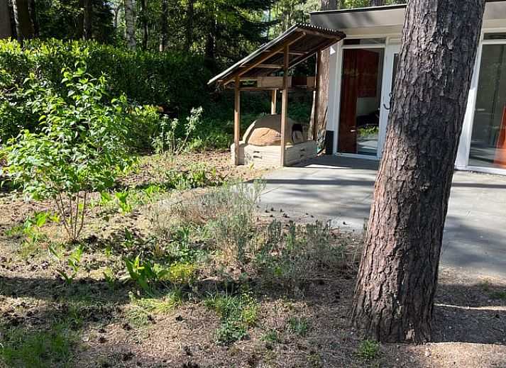 Unterkunft 571812 - Ferienhaus Utrechtse Heuvelrug - Vakantiehuis in Maarn