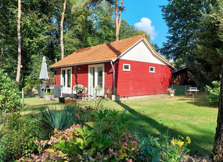 Guest house 571813 • Holiday property Utrechtse Heuvelrug • Huisje in Maarn