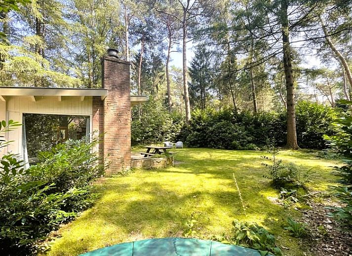 Vacation home in Maarn, Utrecht Hill Ridge, with sunny garden surrounded by wooded area.