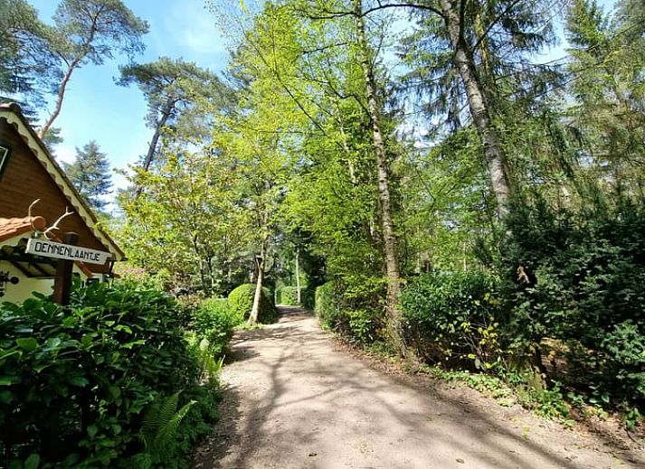 Unterkunft 571816 - Ferienhaus Utrechtse Heuvelrug - Huisje in Maarn