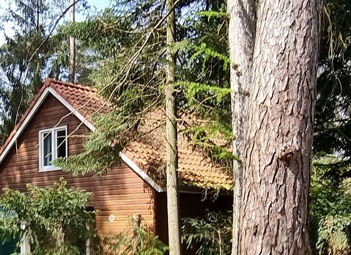 Unterkunft 571816 - Ferienhaus Utrechtse Heuvelrug - Huisje in Maarn