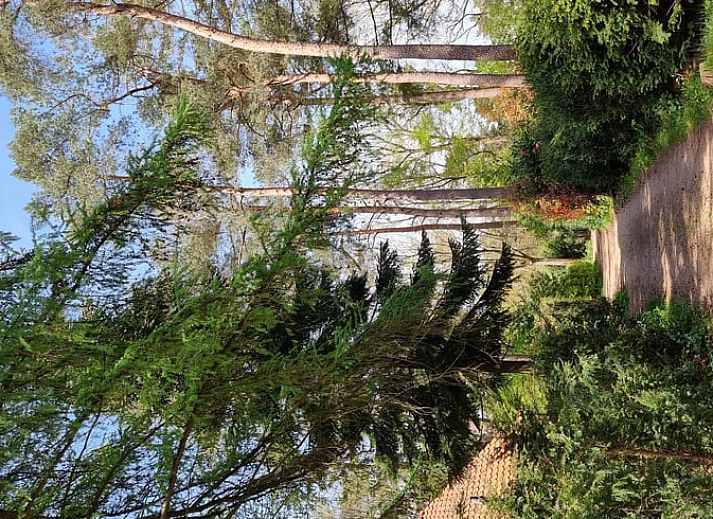 Unterkunft 571816 - Ferienhaus Utrechtse Heuvelrug - Huisje in Maarn