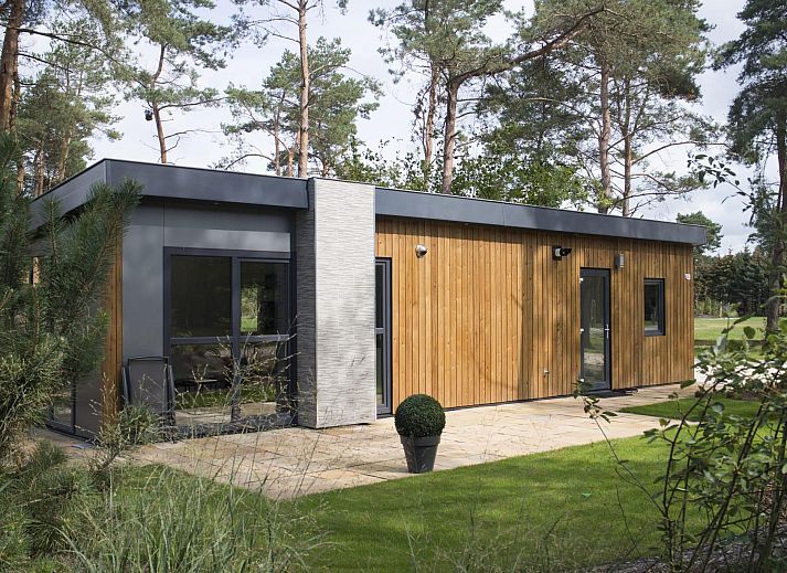 Guest house 571844 • Holiday property Utrechtse Heuvelrug • Pavilion 4