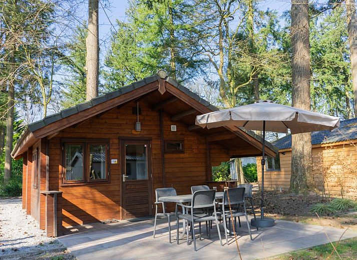 Guest house 571848 - Holiday property Utrechtse Heuvelrug - Stuga 4