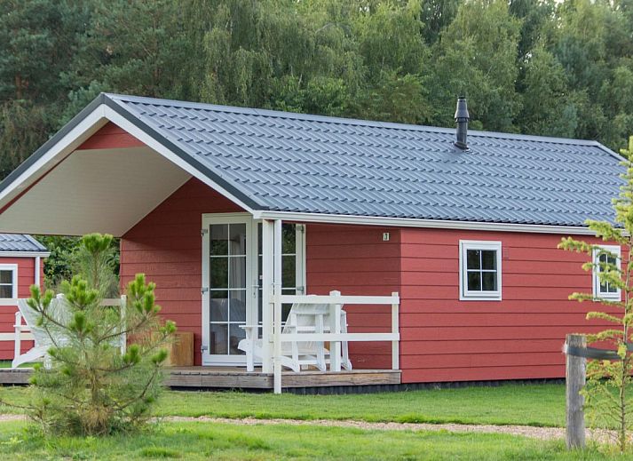 Guest house 571860 • Holiday property Utrechtse Heuvelrug • Boslodge 4