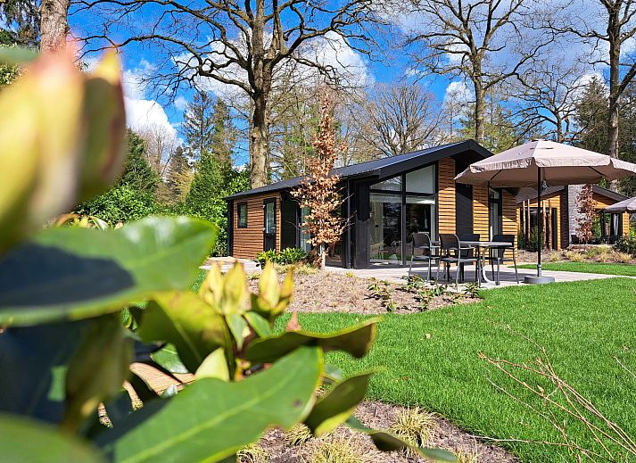 Chalet in Maarn inmitten der Natur auf dem Utrechter Bergrcken, mit Sonnenterrasse und moderner Architektur fr einen entspannten Aufenthalt.