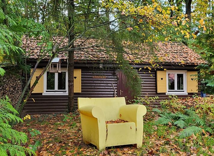 Cottage in Maarn, a charming vacation home on the Utrechtse Heuvelrug, surrounded by autumn leaves and serene nature in Maarn, Utrecht.