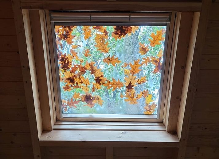 Cottage in Maarn, a charming vacation home on the Utrechtse Heuvelrug, surrounded by autumn leaves and serene nature in Maarn, Utrecht.