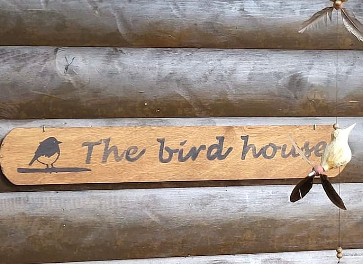 Cottage in Maarn, a cozy vacation home on the Utrechtse Heuvelrug, surrounded by autumn leaves and serene nature in Maarn, Utrecht.