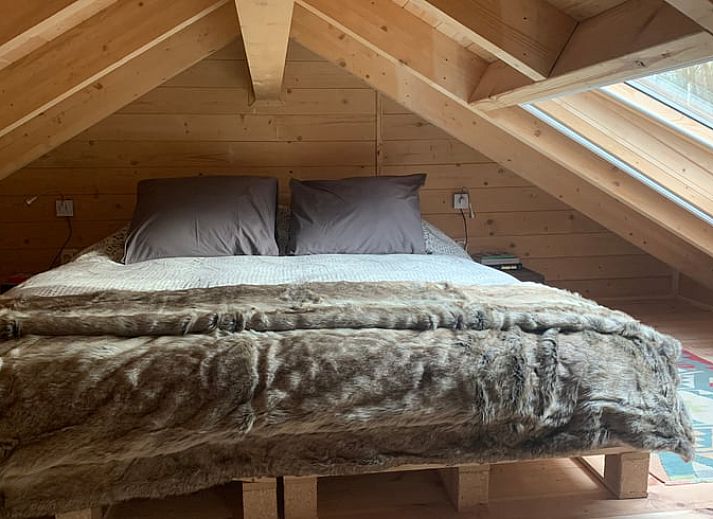 Skylight of Huisje in Maarn with autumn leaves, vacation home on the Utrechtse Heuvelrug, offers a soothing view of nature.