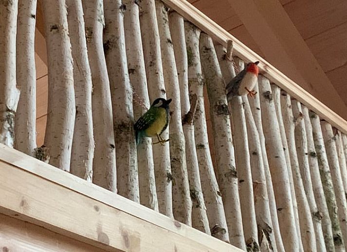 Skylight of Huisje in Maarn with autumn leaves, vacation home on the Utrechtse Heuvelrug, offers a soothing view of nature.