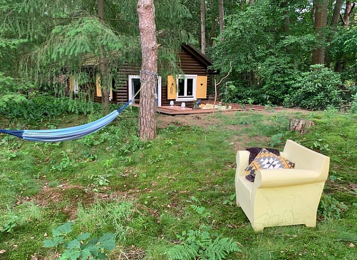 Cozy living room of a cottage in Maarn, Utrechtse Heuvelrug, with a comfortable sofa and a view of the terrace surrounded by nature.