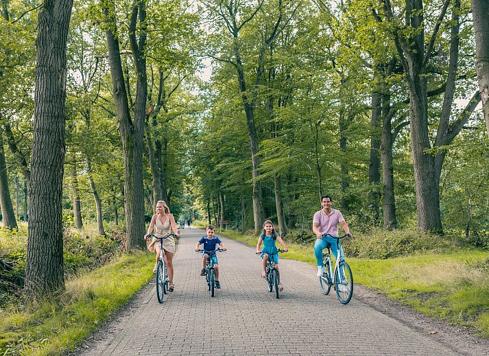 Unterkunft 571883 - Ferienhaus Utrechtse Heuvelrug - EuroParcs De Utrechtse Heuvelrug