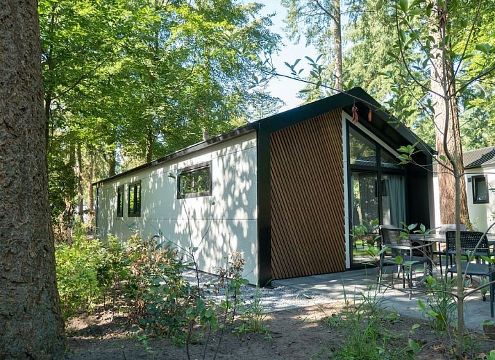 Verblijf 571884 - Vakantiewoning Utrechtse Heuvelrug - 781980