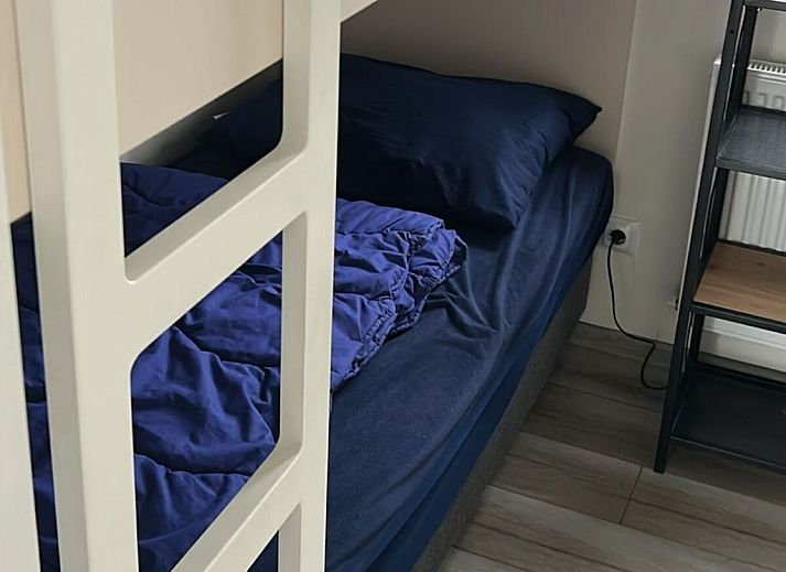 Guest house 571886 - Holiday property Utrechtse Heuvelrug - 781982