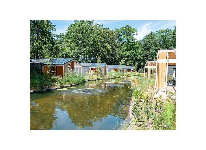 Verblijf 571888 - Vakantiewoning Utrechtse Heuvelrug - 782149
