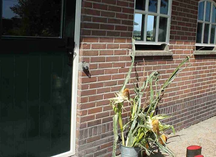 Gezellige woonkamer in Vakantiehuisje in Achterveld, Utrechtse Heuvelrug, met houten balken en comfortabele zitruimte.
