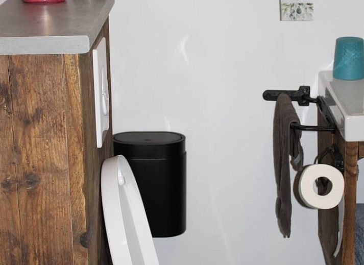 Uniek decoratief element in Vakantiehuisje in Achterveld, Utrechtse Heuvelrug, met een hooi en kippenbeeld.