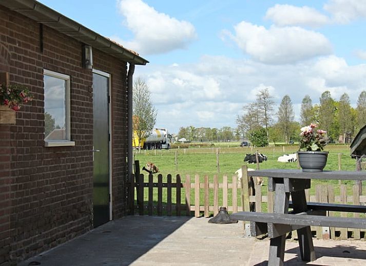 Cottage in Achterveld, ein charmantes Ferienhaus auf dem Utrechter Huegelruecken, umgeben von gruenen Gaerten und ruhiger Natur in Utrecht.