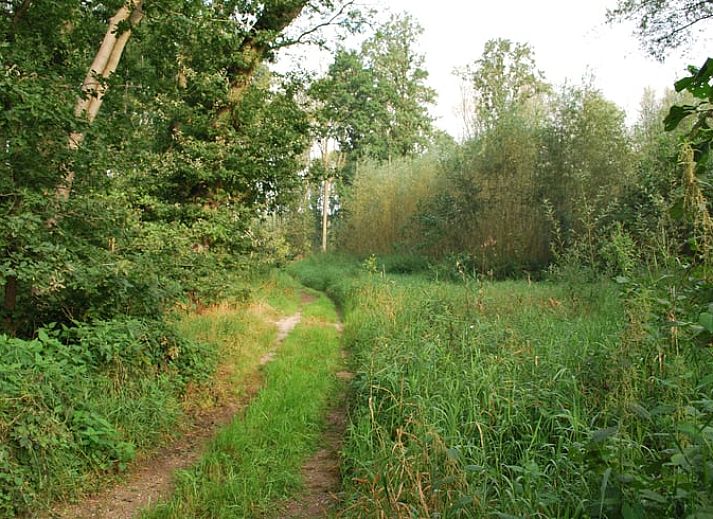 Unterkunft 572002 - Ferienhaus Utrechtse Heuvelrug - Vakantiehuisje in Langbroek