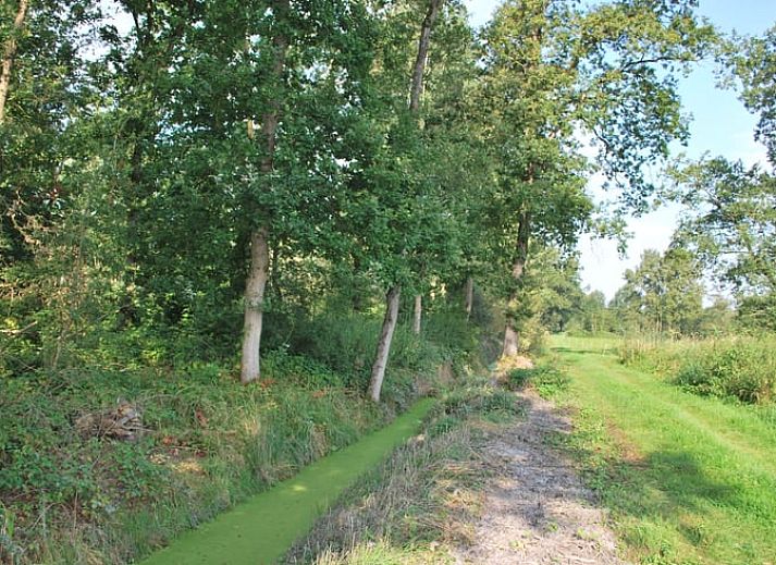 Unterkunft 572002 - Ferienhaus Utrechtse Heuvelrug - Vakantiehuisje in Langbroek