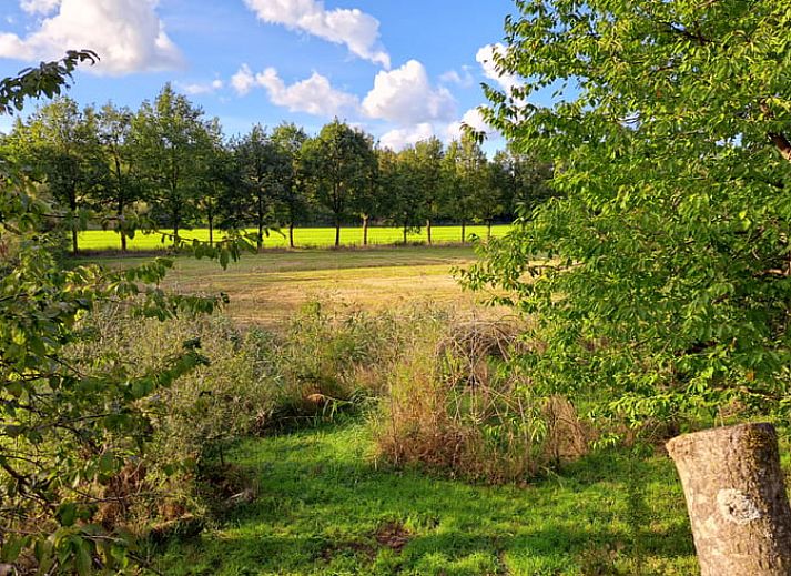 Unterkunft 572002 - Ferienhaus Utrechtse Heuvelrug - Vakantiehuisje in Langbroek