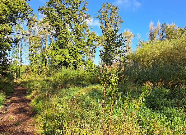 Unterkunft 572002 - Ferienhaus Utrechtse Heuvelrug - Vakantiehuisje in Langbroek