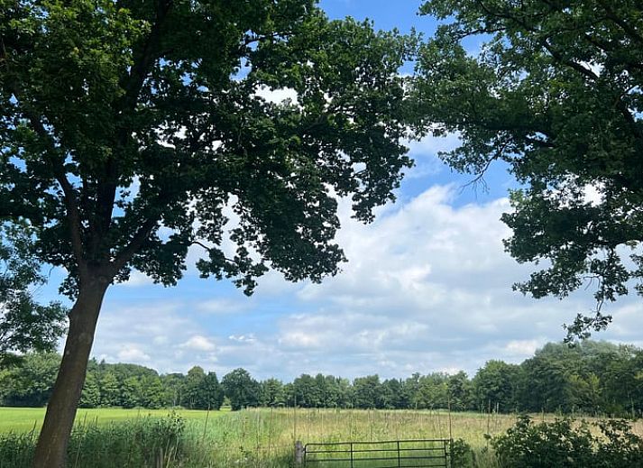 Blick vom Ferienhaus in Stoutenburg auf eine gruene Wiese und einen Bauernhof in Utrecht.