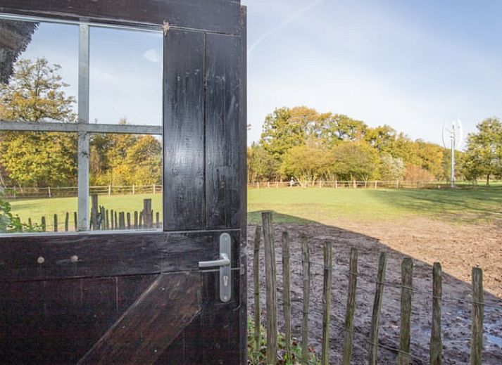 Gemuetliches Interieur eines Ferienhauses in Maarsbergen mit Holzinterieur, Utrechtse Heuvelrug.