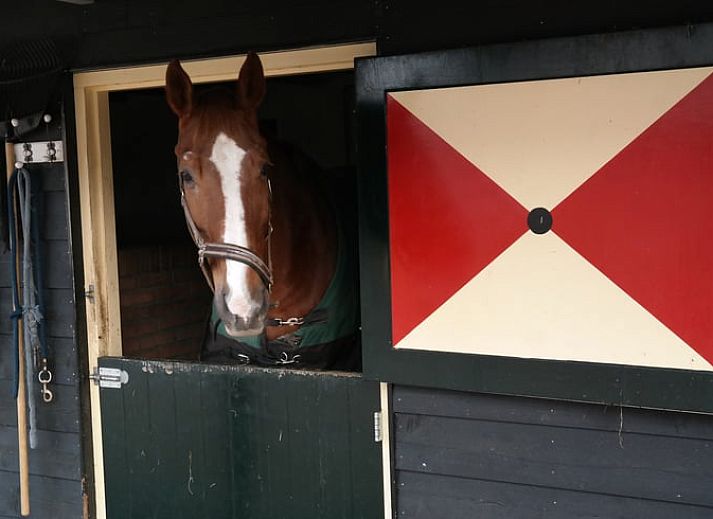 Schoene Aussicht auf See und Natur rund um das Ferienhaus in Maarsbergen, Utrechtse Heuvelrug.