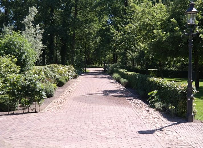 Schoene Aussicht auf See und Natur rund um das Ferienhaus in Maarsbergen, Utrechtse Heuvelrug.