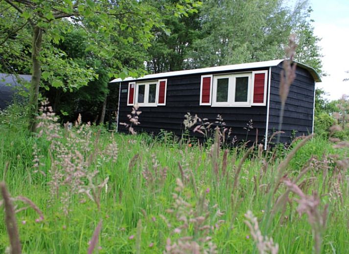 Gemuetlicher Innenraum eines Ferienhauses in Bunschoten-Spakenburg, Utrecht, mit einer rustikalen Vase und Blumen, perfekt fuer ein entspanntes Ferienhaus.