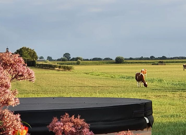 Stilvolle Kueche im Ferienhaus in IJsselstein, Utrecht, ausgestattet mit modernen Annehmlichkeiten fuer einen schoenen Urlaub.